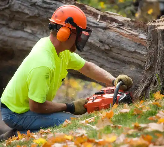 tree services Garysburg